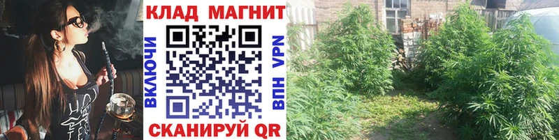 Купить наркотик аптеки Сургут А ПВП  COCAIN  Бутират  Канабис  ГАШИШ 