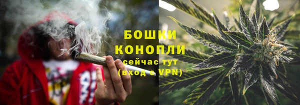 дживик Сосновоборск